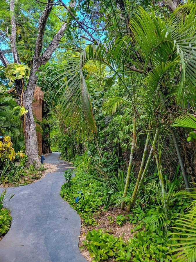 Maui Hostels טולום מראה חיצוני תמונה
